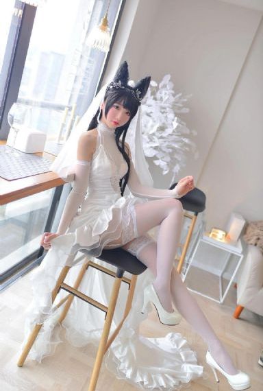 白色橄榄树电视剧
