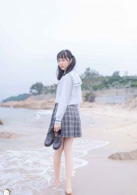 傻王夺嫡