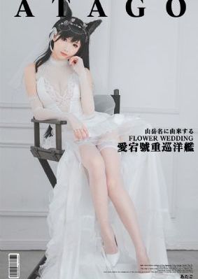 1—40集免费看全集