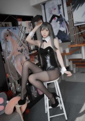 沉香如屑免费