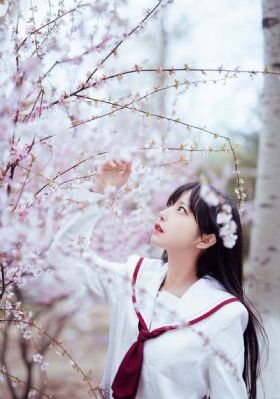 乐高城市动画片